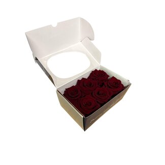 Gepreserveerde Rozen koppen | Kleur: Red Classic | Per 6 rozen