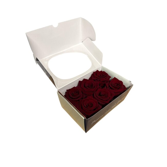 Teste di rose stabilizzate | Colore: Red Classic | Per 6 rose