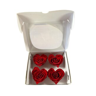 Gepreserveerde Rozenkopjes | Kleur: Rood | Classic rozen | Inhoud 4 rozen | Per doos
