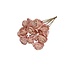 Rosa Shola Beauty Rose | ↕ Stiellänge 50 cm | Pro 10 Stecker