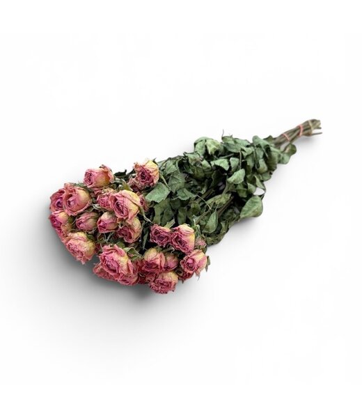 Roze gedroogde Trosrozen | ↕ Lengte 50 cm | Per 10 rozen