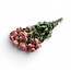 Roze gedroogde Trosrozen | ↕ Lengte 50 cm | Per 10 rozen