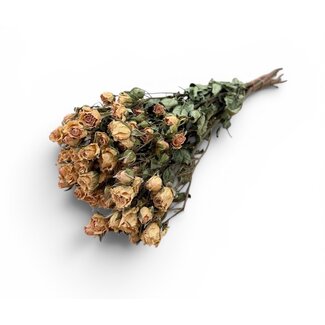 Lichtroze gedroogde Trosrozen | ↕ Lengte 50 cm | Per 10 rozen