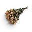 Lichtroze gedroogde Trosrozen | ↕ Lengte 50 cm | Per 10 rozen