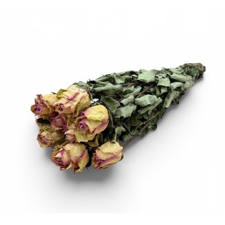 Wit-roze gedroogde Rozen | ↕ Lengte 50 cm | Per 10 rozen