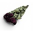 Rode gedroogde Rozen | ↕ Lengte 50 cm | Per 10 rozen