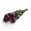 Fuchsia gedroogde Rozen | ↕ Lengte 50 cm | Per 10 rozen
