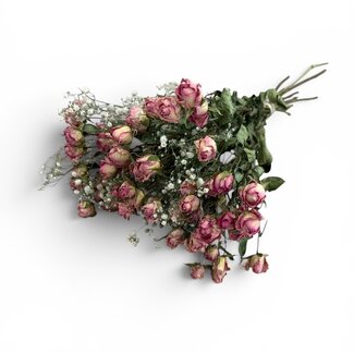 Boeketje met 8 roze Trosrozen en 2 takken wit naturel Gipskruid | ↕ Lengte 50 cm