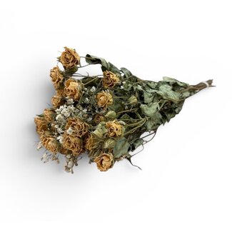 Bouquet con 8 rose a grappolo bianche e 2 rami di gipsofila bianca naturale | ↕ Lunghezza 50 cm