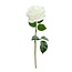 Wax Roos | Kleur: Wit | ↕ Lengte 70 cm | Per stuk