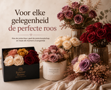 Welke rozen passen bij welke gelegenheid?