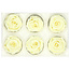 Têtes de roses stabilisées | Couleur : Crème | Par 6 roses