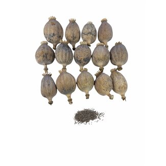Gedroogde papaver koppen | Maat XL | Oogst 2026 | Per kilo