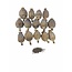 Gedroogde papaver koppen | Maat XL | Oogst 2026 | Per kilo
