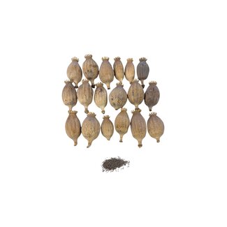 Gedroogde papaver koppen | Maat L | Oogst 2026 | Per kilo