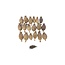 Gedroogde papaver koppen | Maat L | Oogst 2026 | Per kilo