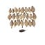 Dried Poppy Heads | Size M | Harvest 2026 | Per Kilogram