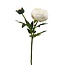 Pioenroos Kunstbloem | Kleur: Crème | ↕ Lengte: 55 cm | Per stuk