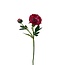 Pioenroos Kunstbloem | Kleur: Rood | ↕ Lengte: 55 cm | Per stuk