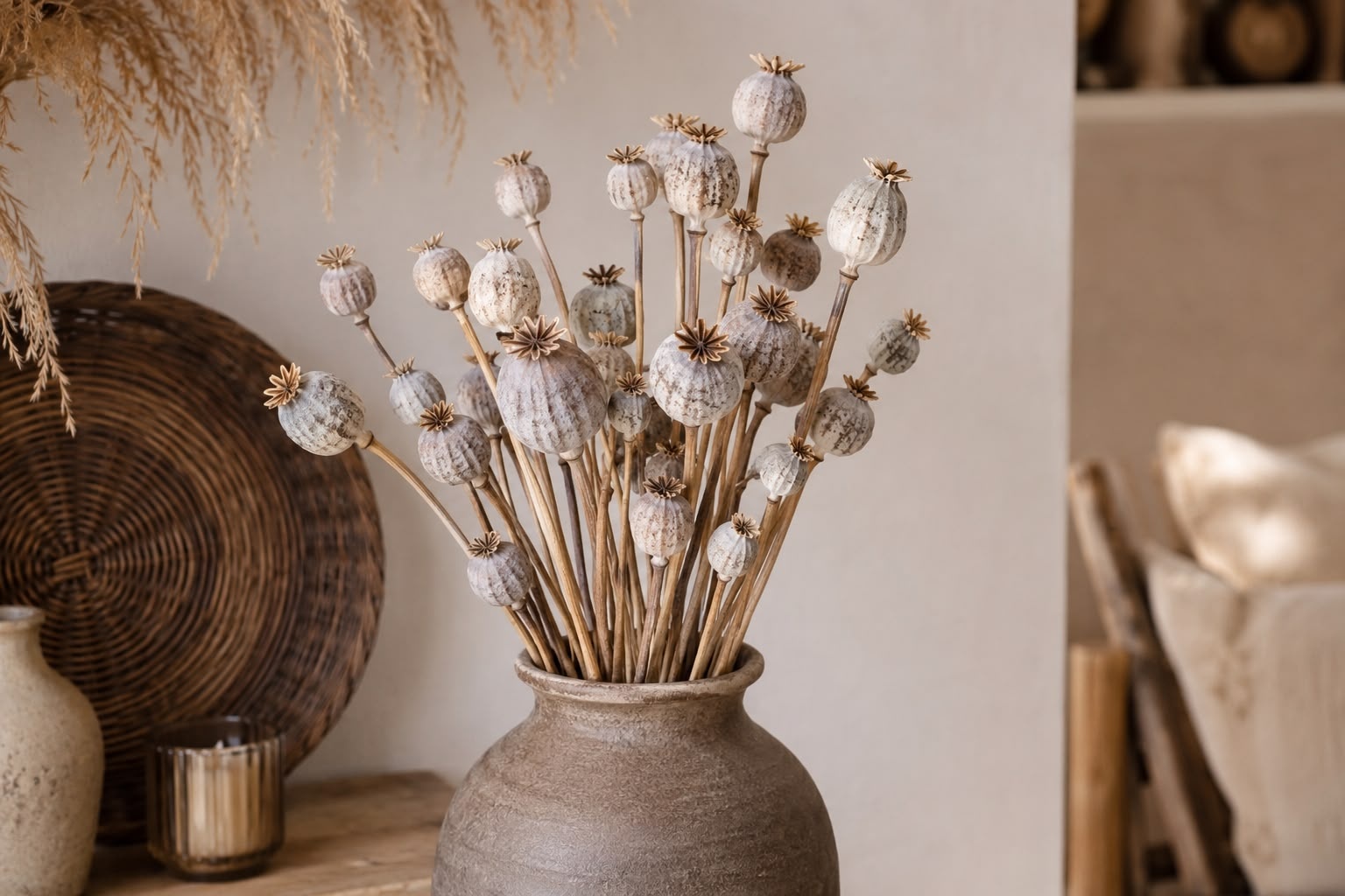 Papaver Somniferum (Slaapbol) - Rustieke Elegantie in je Interieur: Ontdek de Kracht van Gedroogde Papaverbollen