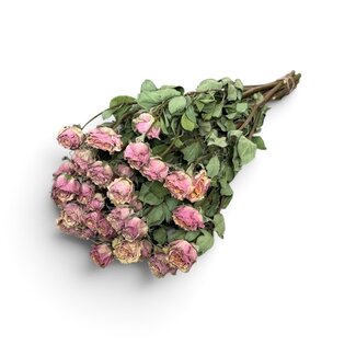 Grijs Lila Love Gedroogde Trosrozen | ↕ Lengte: 40 cm | Per 10 rozen