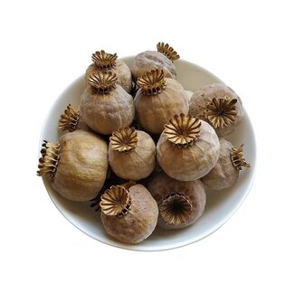 Oostenrijkse papaver koppen | Zaadloos | Oogst 2026 | Per 500 gram