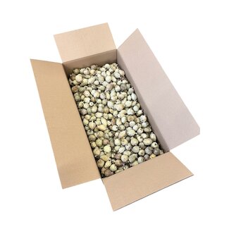 Gedroogde papaver koppen | Maat M | Oogst 2026 | Per Doos 4.2kg