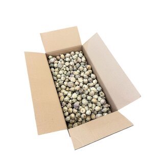 Gedroogde Papaver Koppen | Maat L | Oogst 2026 | Per Doos 4,2 kg