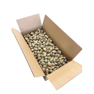Gedroogde Papaver Koppen | Maat XL | Oogst 2026 | Per Doos 4,2 kg