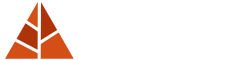 De Beste Vlaggenmast Kerstbomen - Xmas Starlight
