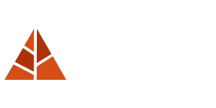 De Beste Vlaggenmast Kerstbomen - Xmas Starlight