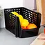 Schwarze Obst- und Gemüsebox mit Perforation – 29 x 21 x 16 cm