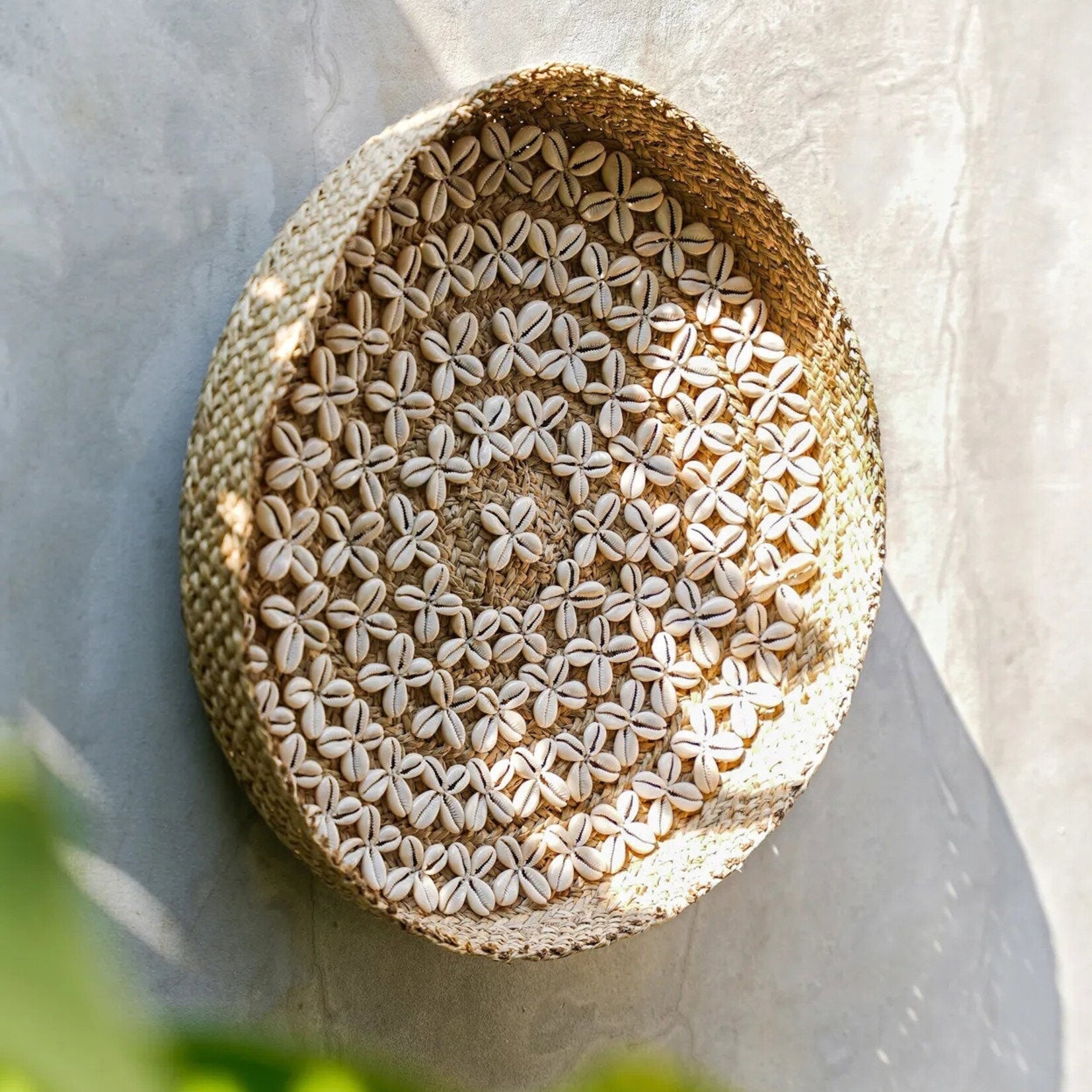 Bazar Bizar Antwerp The Costa Shell Plate - Natural White - M