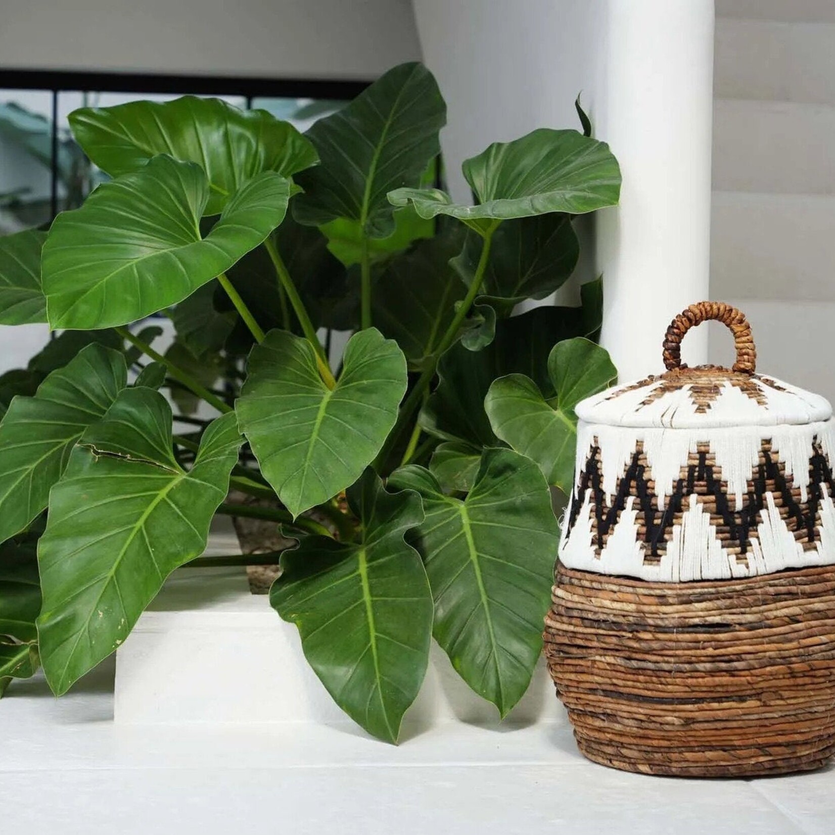 Bazar Bizar Antwerp The Little Bay Beach Basket - Natural White - M