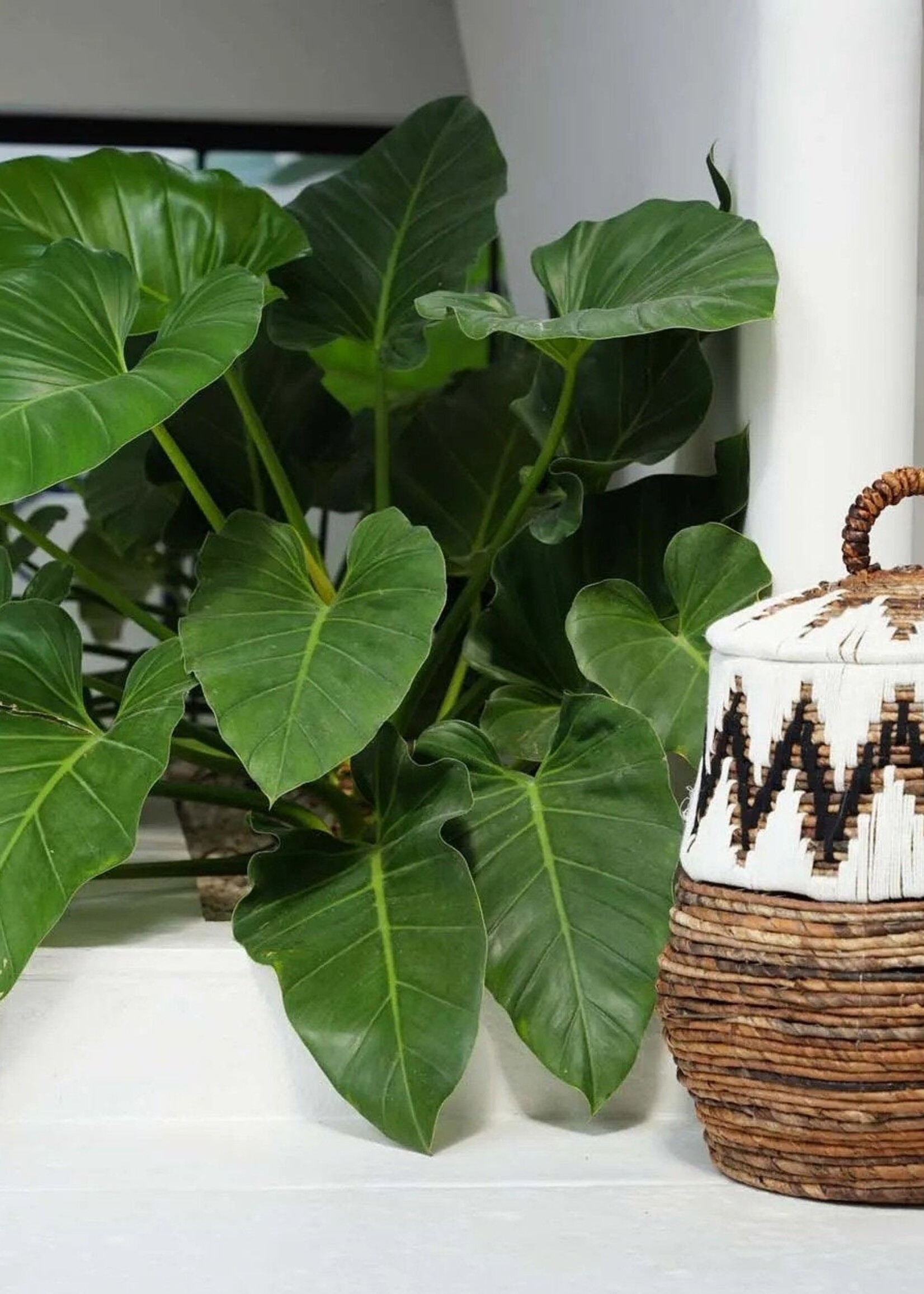 Bazar Bizar Antwerp The Little Bay Beach Basket - Natural White - M