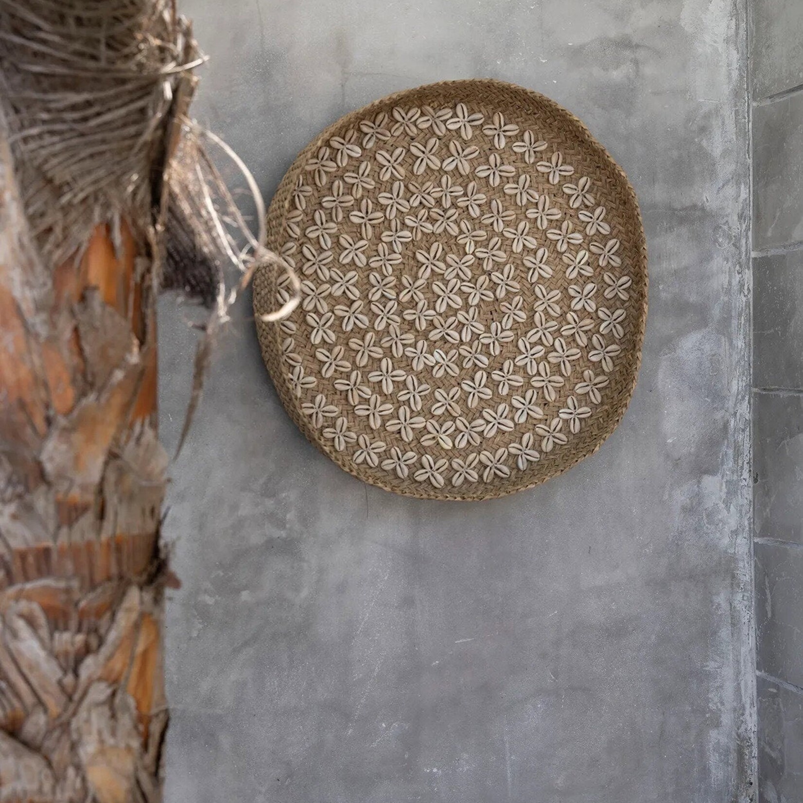 Bazar Bizar Antwerp The Costa Shell Plate - Natural White - M
