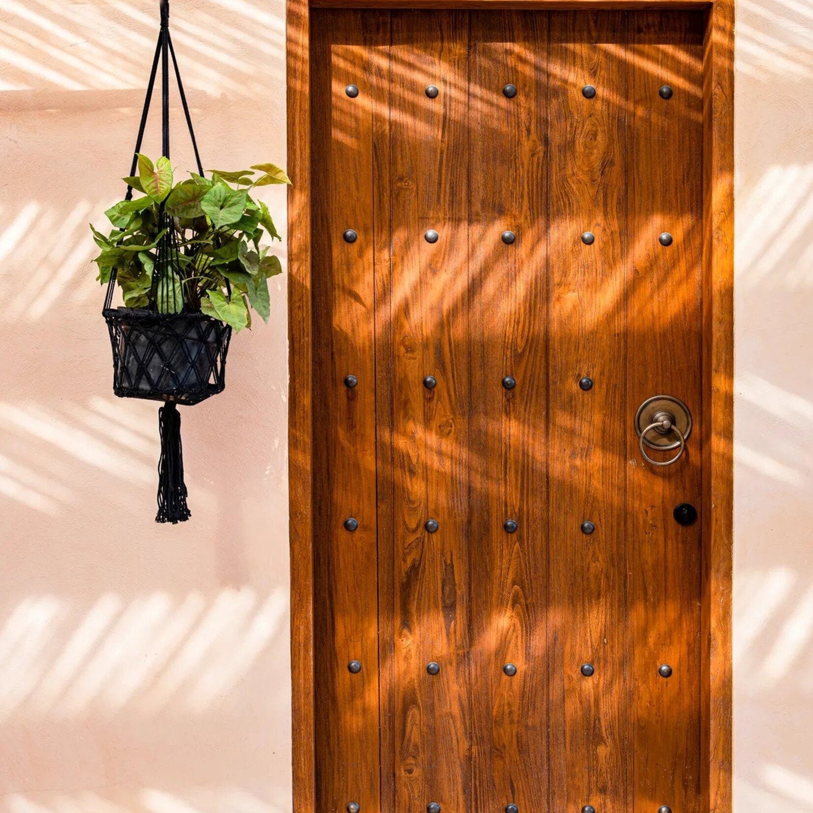 Bazar Bizar Antwerp The Macrame Plant Holder - Black - M