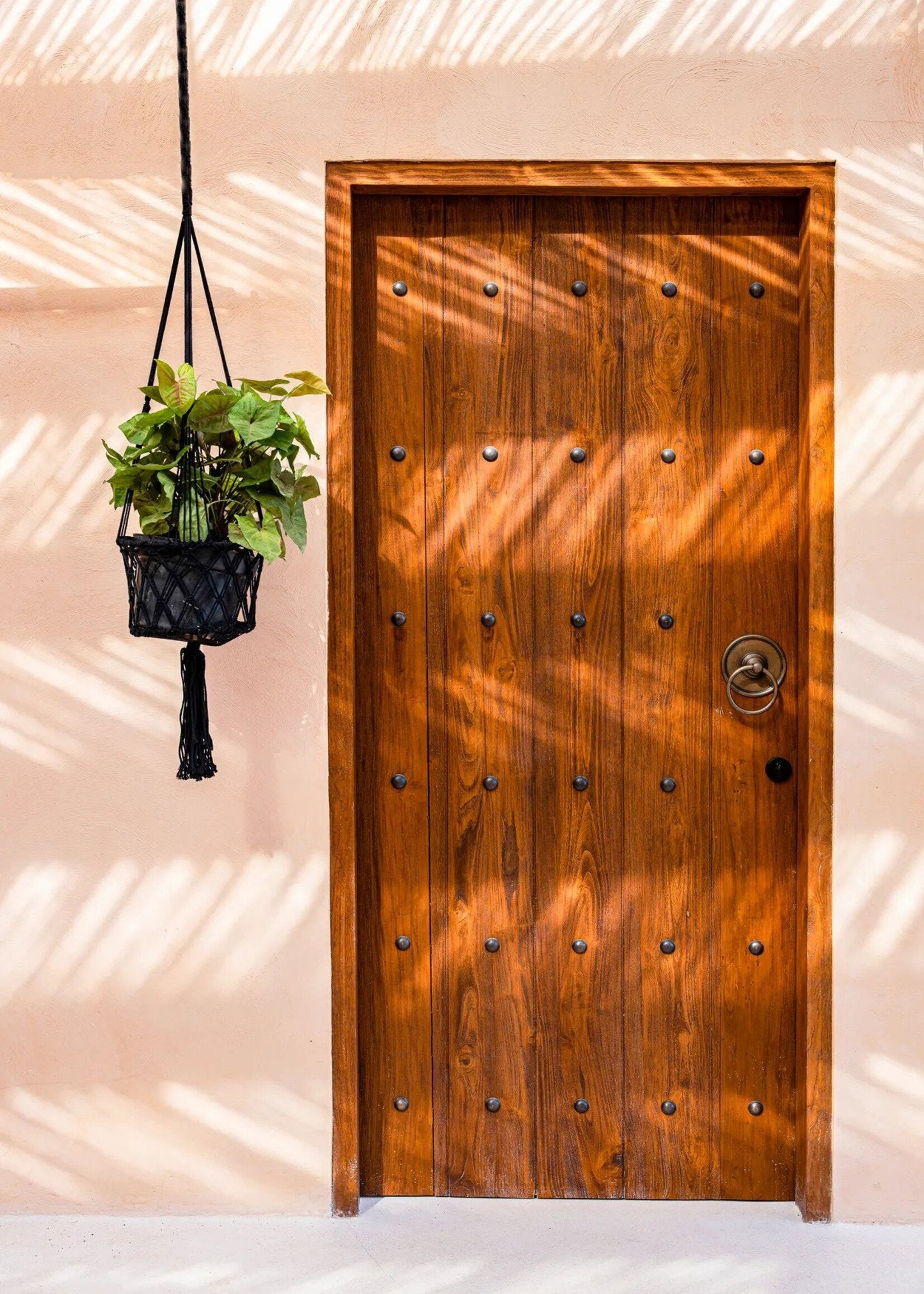 Bazar Bizar Antwerp The Macrame Plant Holder - Black - M