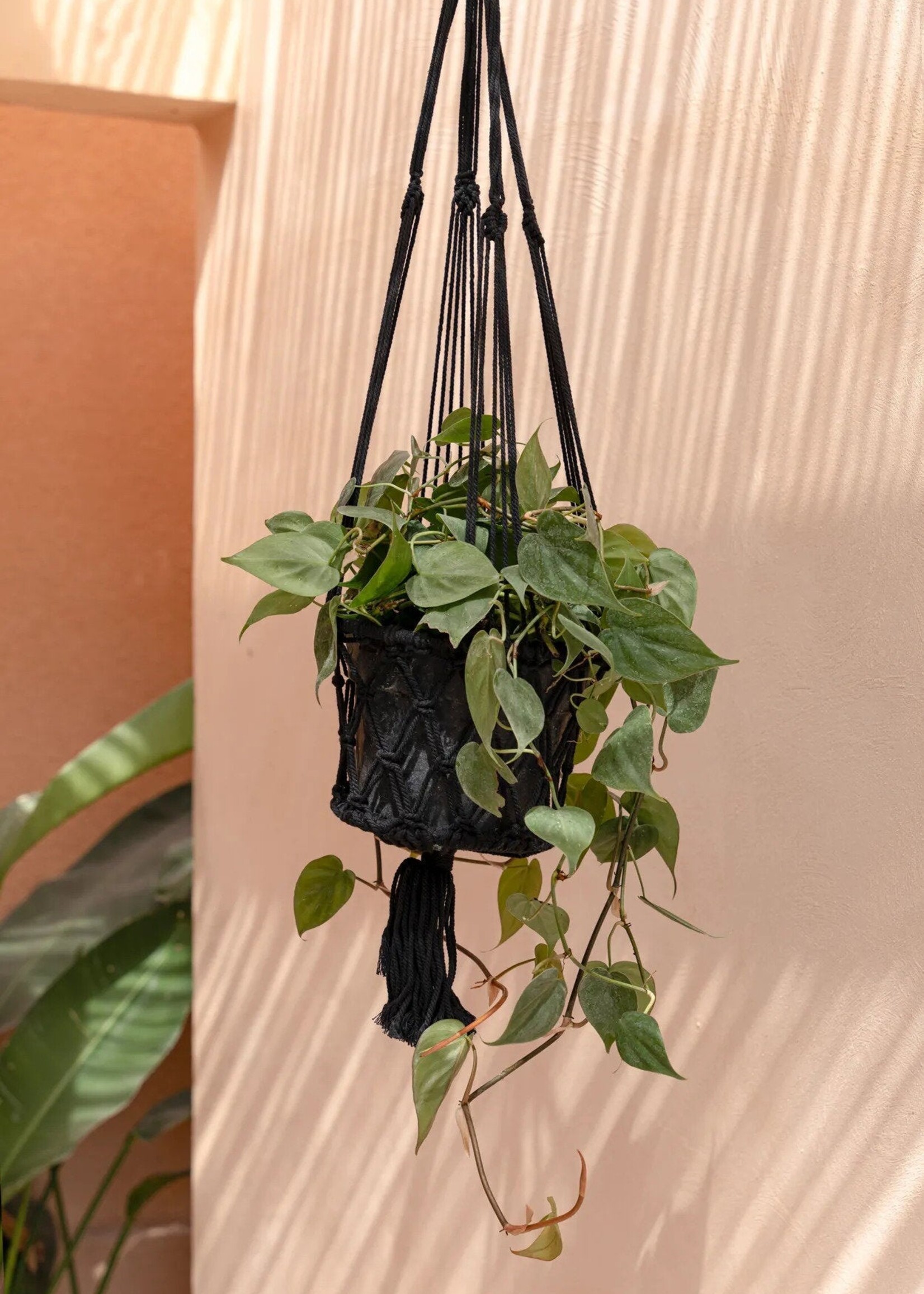 Bazar Bizar Antwerp The Macrame Plant Holder - Black - M