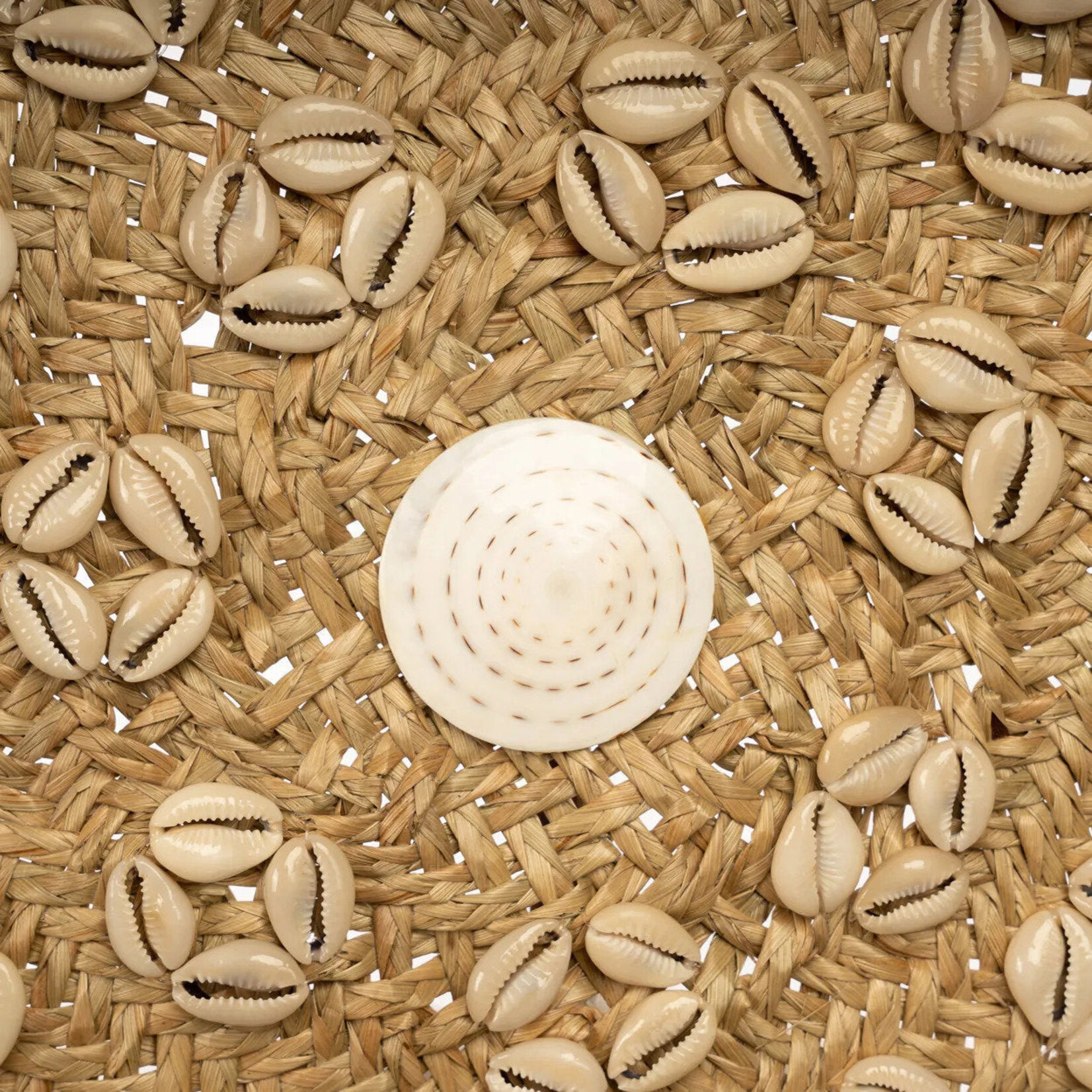 Bazar Bizar Antwerp The Caribe Shell Plate - Natural White - M