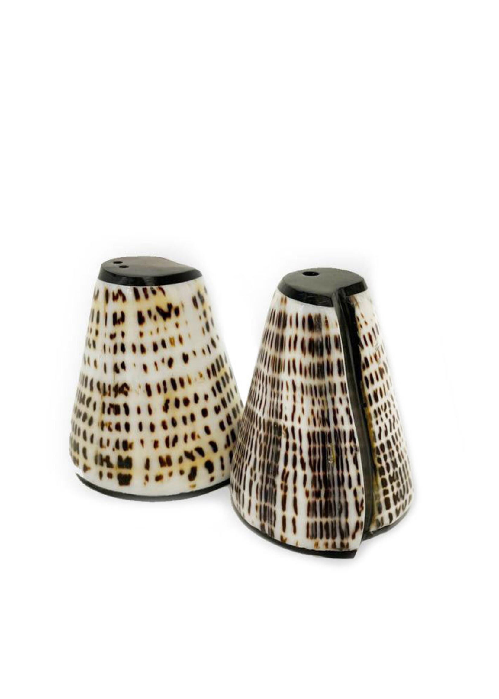 Bazar Bizar Antwerp The Salt & Peppa Shell - Set of 2