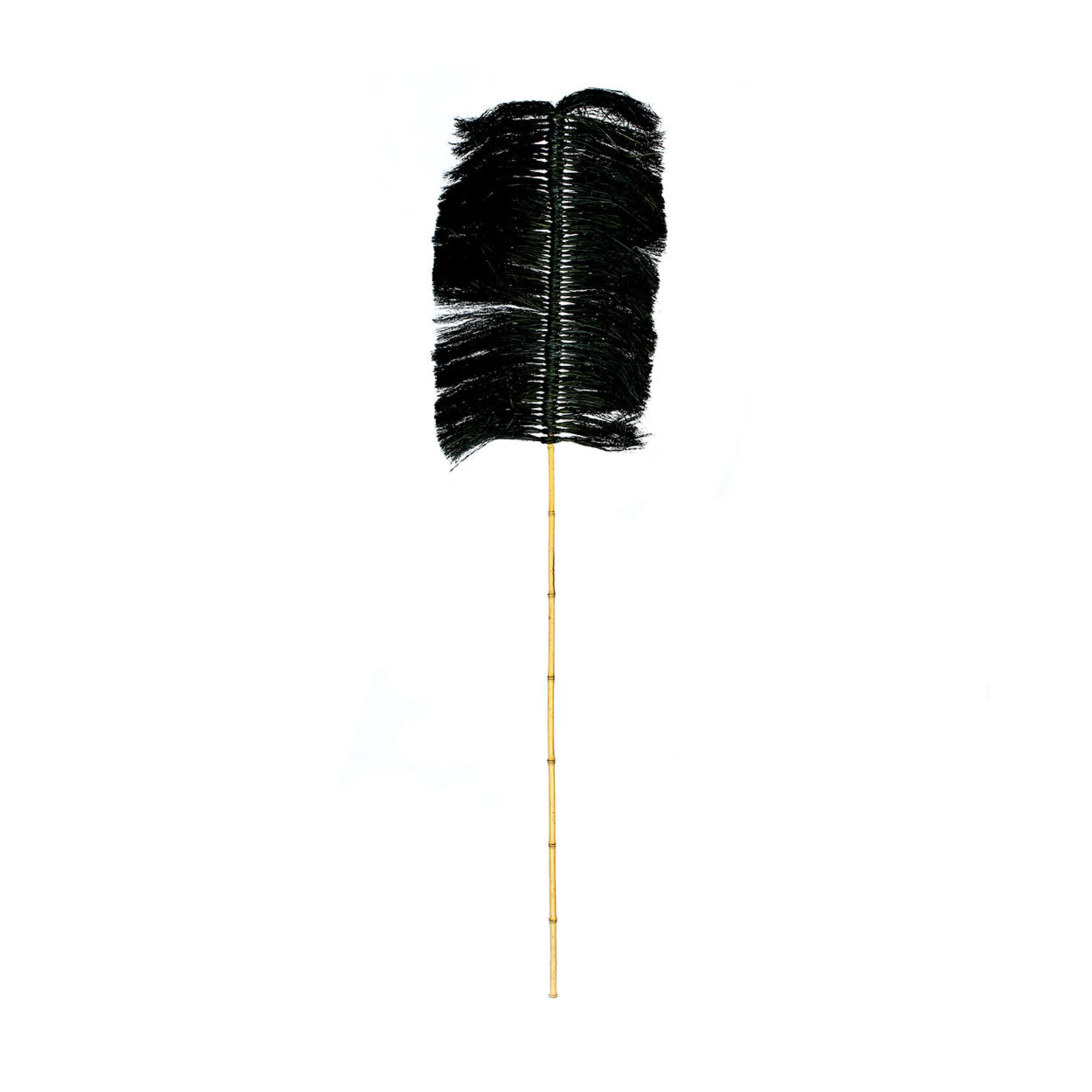 Bazar Bizar Antwerp The Raffia Palmeira - Black