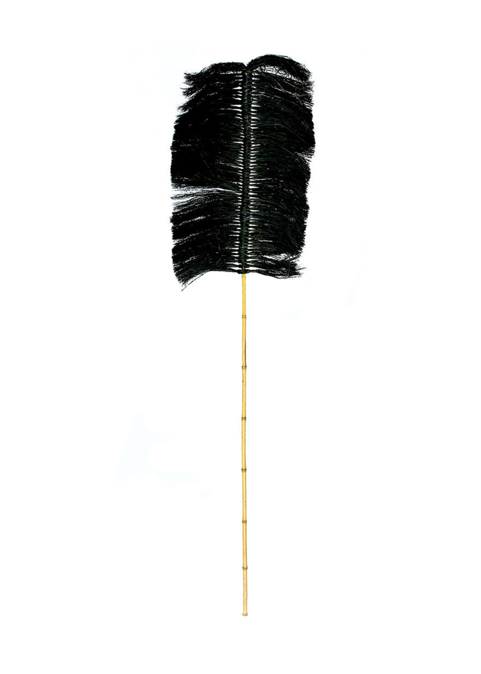 Bazar Bizar Antwerp The Raffia Palmeira - Black