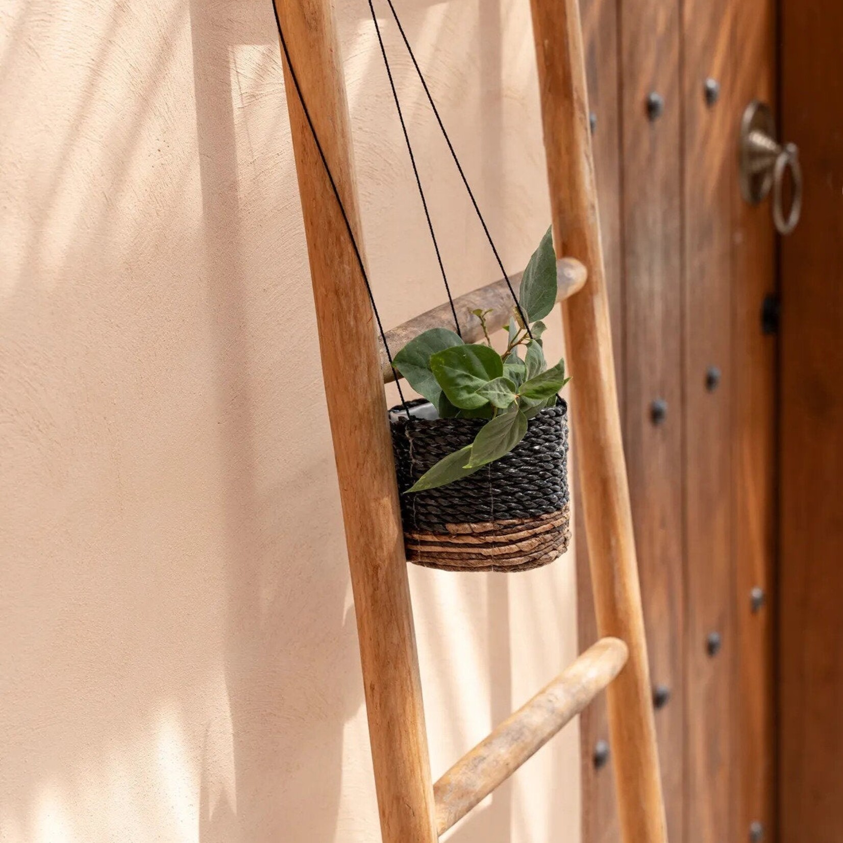 Bazar Bizar Antwerp The Banana Plant Hanger - Natural Black - S