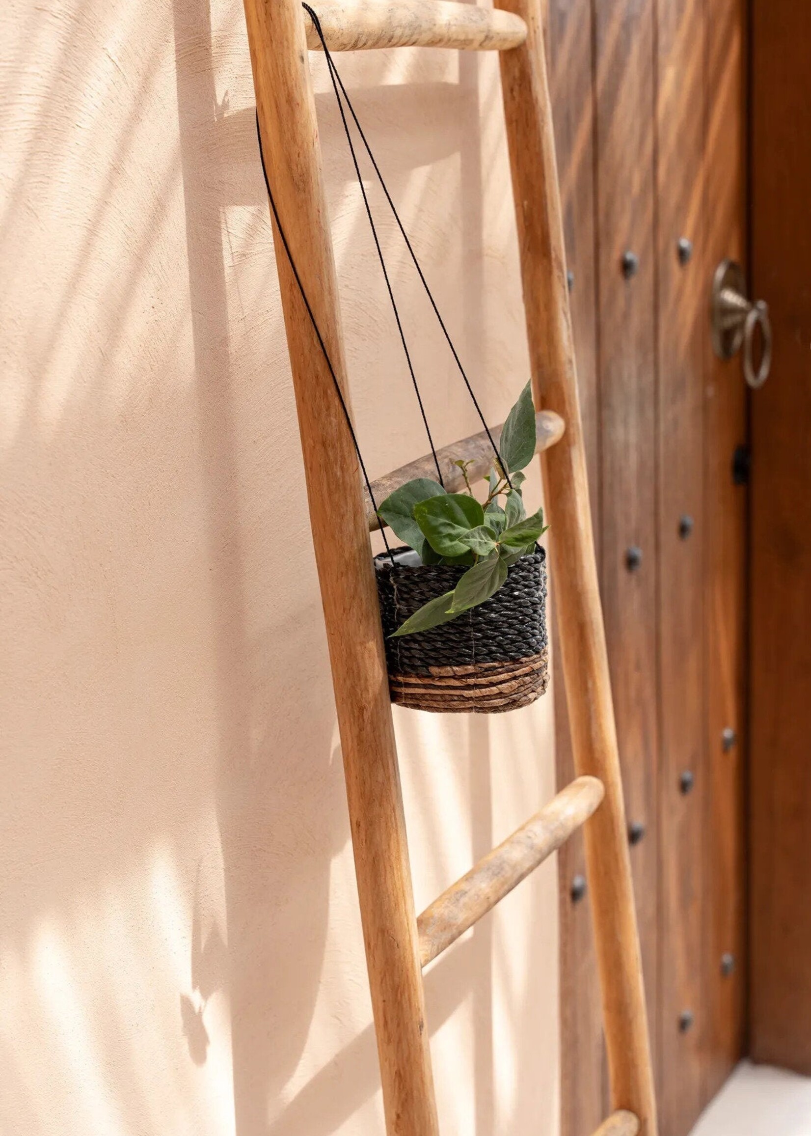 Bazar Bizar Antwerp The Banana Plant Hanger - Natural Black - S