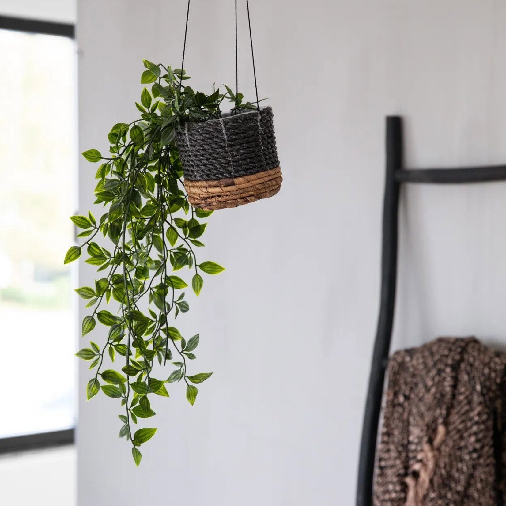 Bazar Bizar Antwerp The Banana Plant Hanger - Natural Black - S