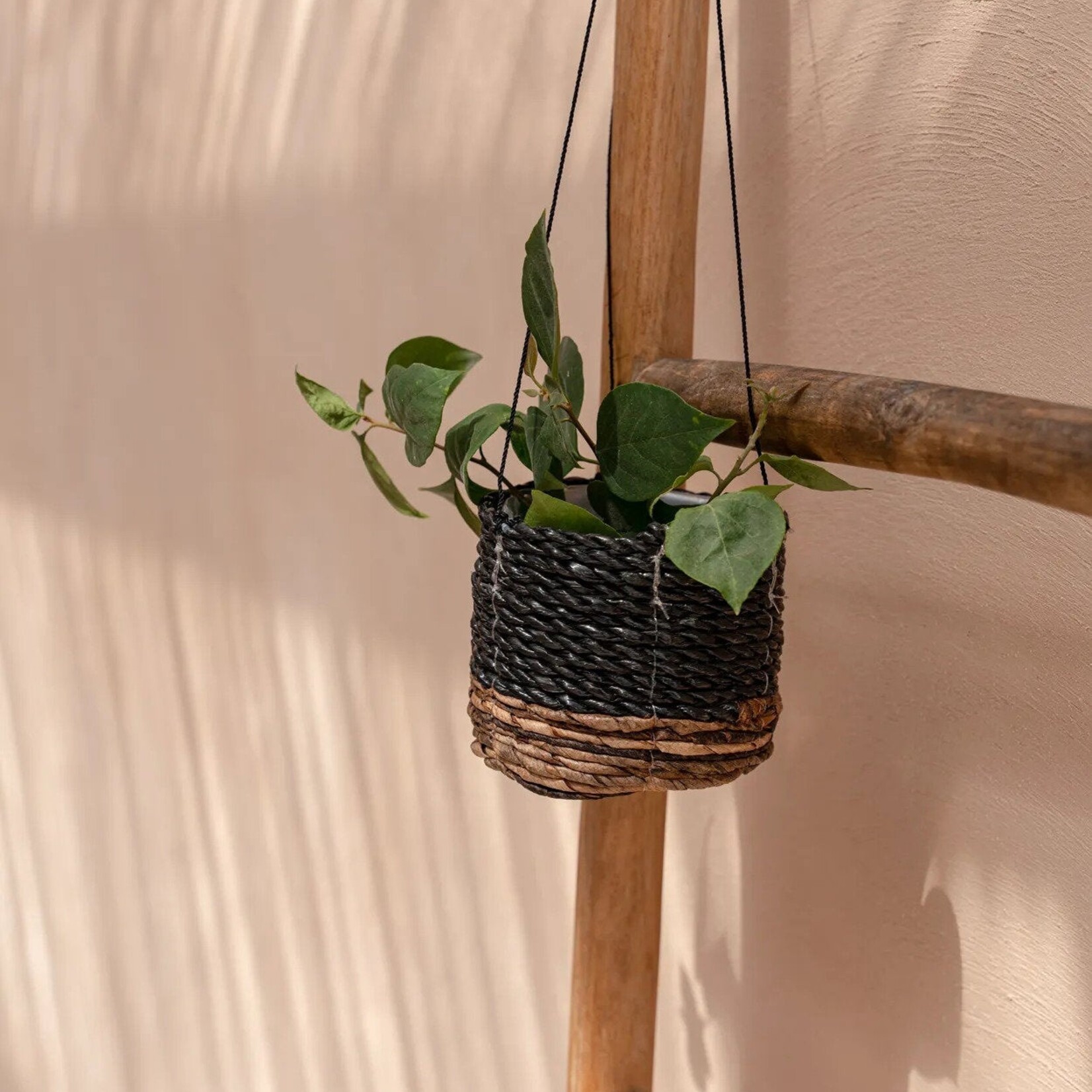 Bazar Bizar Antwerp The Banana Plant Hanger - Natural Black - S