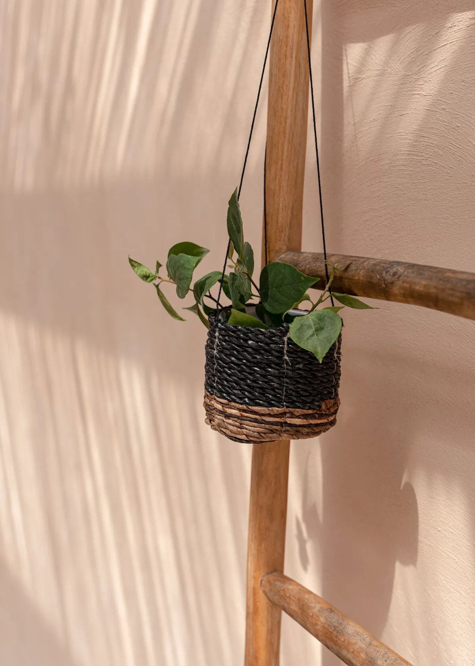 Bazar Bizar Antwerp The Banana Plant Hanger - Natural Black - S