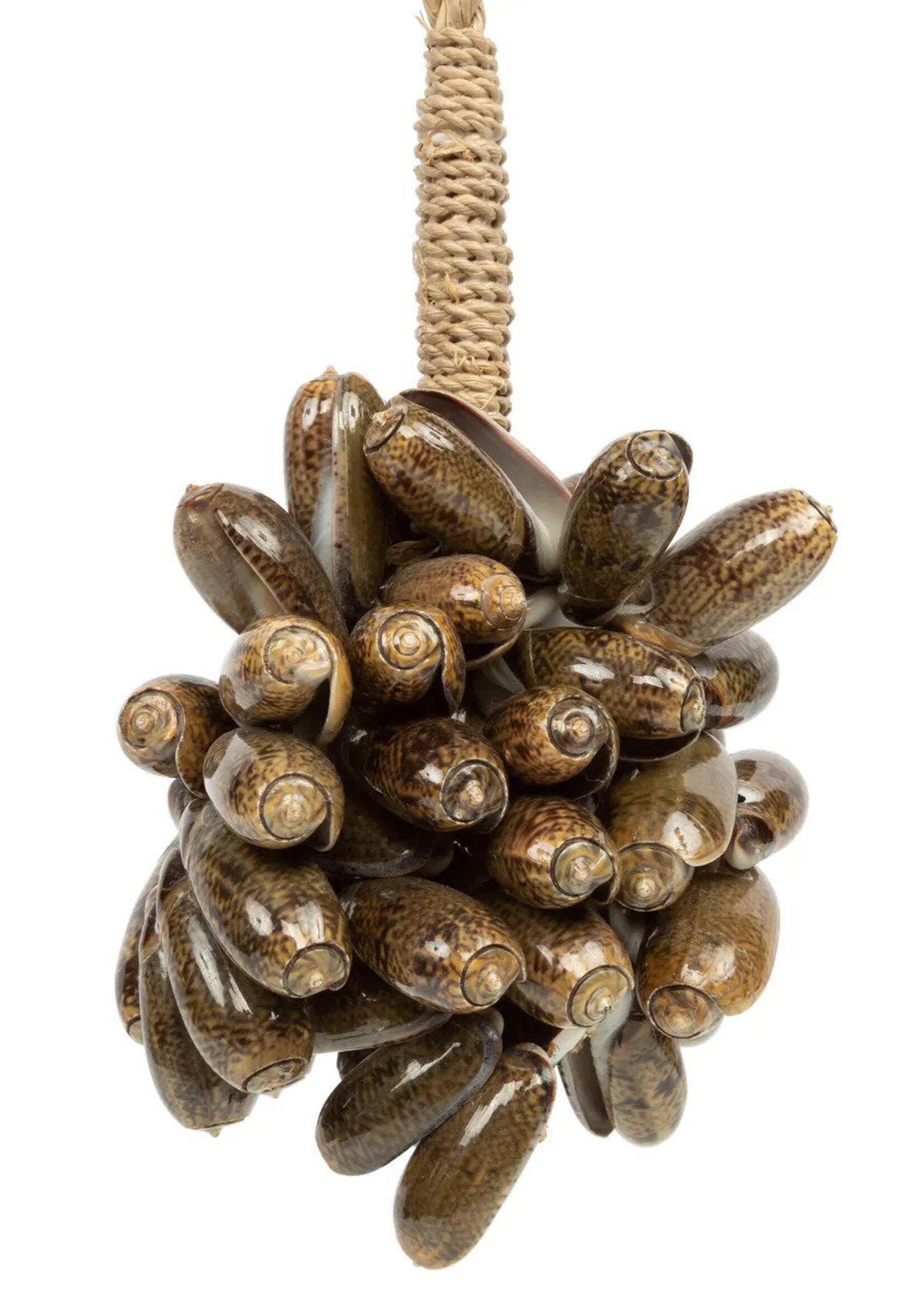 Bazar Bizar Antwerp The Brown Cowrie Shell Tassel