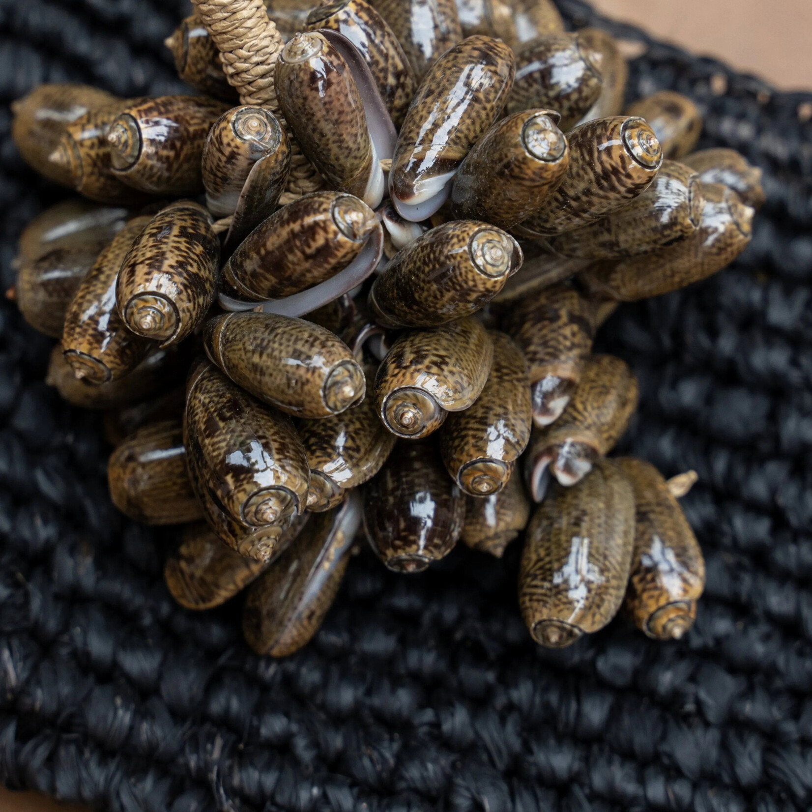 Bazar Bizar Antwerp The Brown Cowrie Shell Tassel